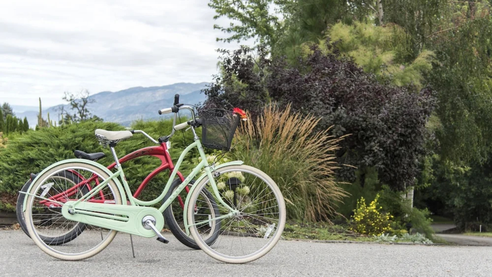 Serenata Guesthouse & Vineyard Retreat