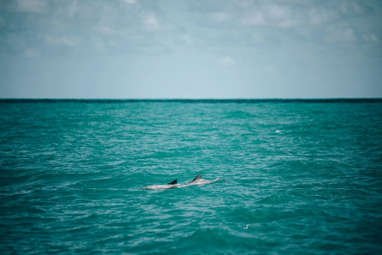 Madeiro Beach Hotel And Resort