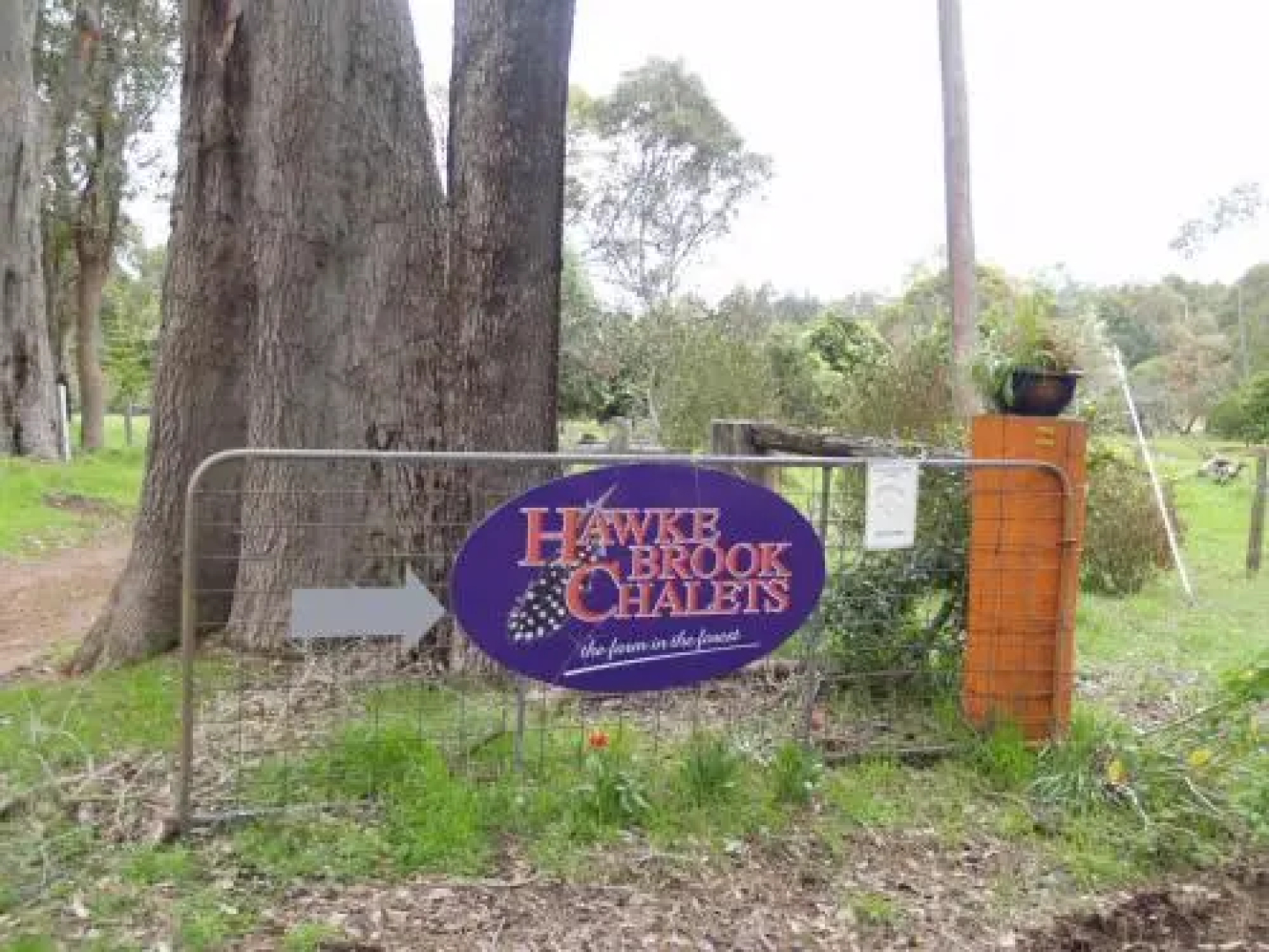 Hawke Brook Chalets