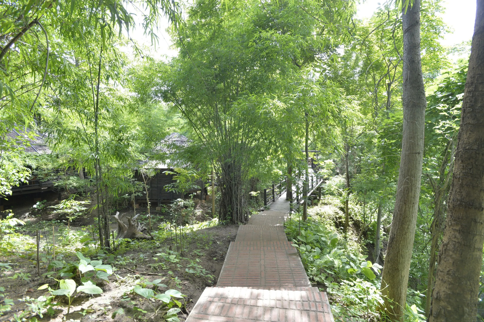 Bago Yoma Eco Resort