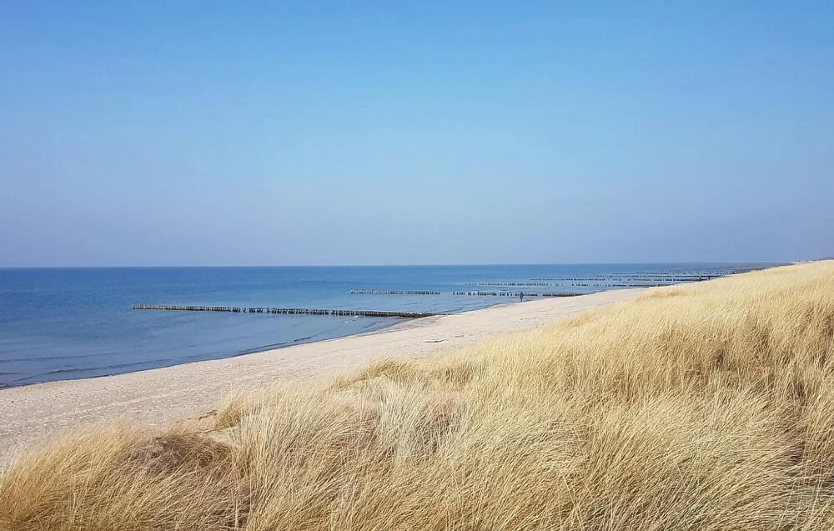 Nice Apartment in Wustrow With 1 Bedrooms