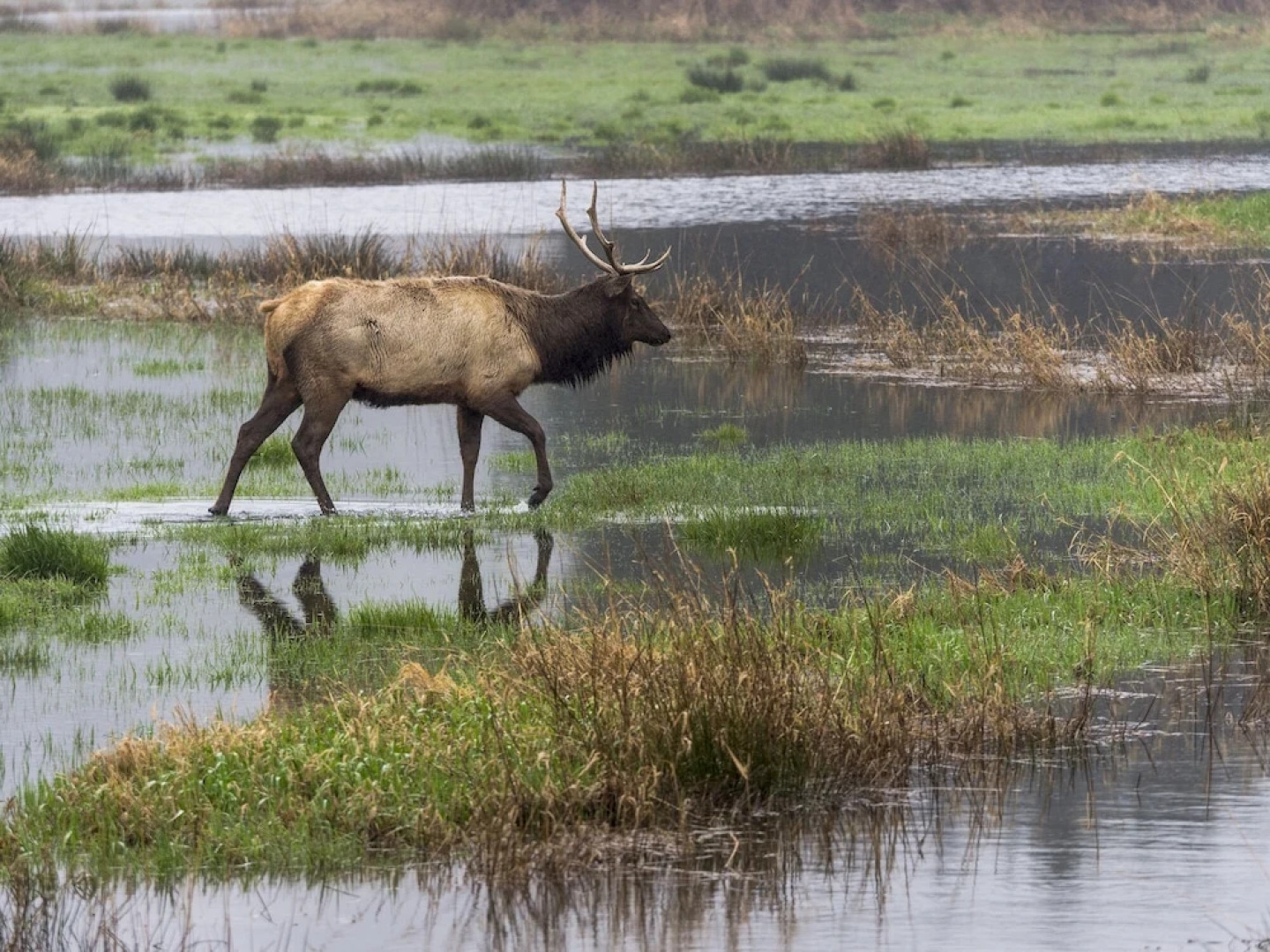 Seaside Escape Townhouse 1 Bedroom 1 Bathroom Townhouse