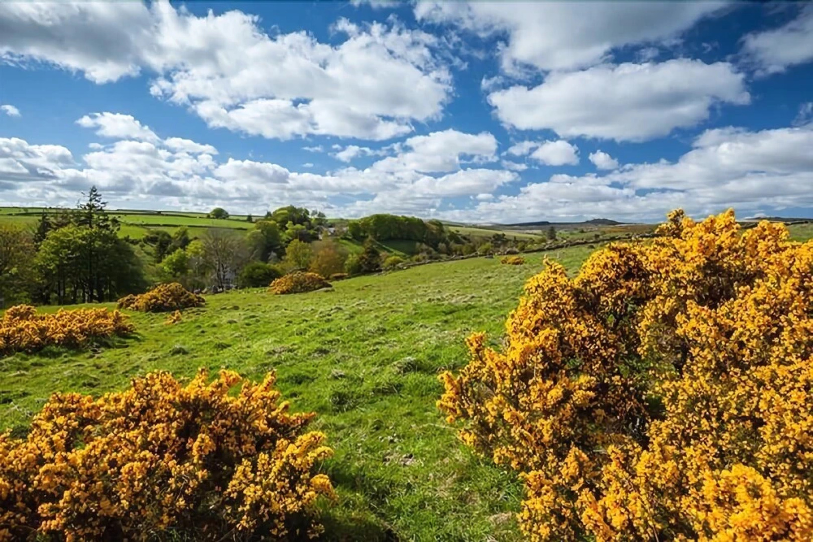 Wydemeet Bed and Breakfast