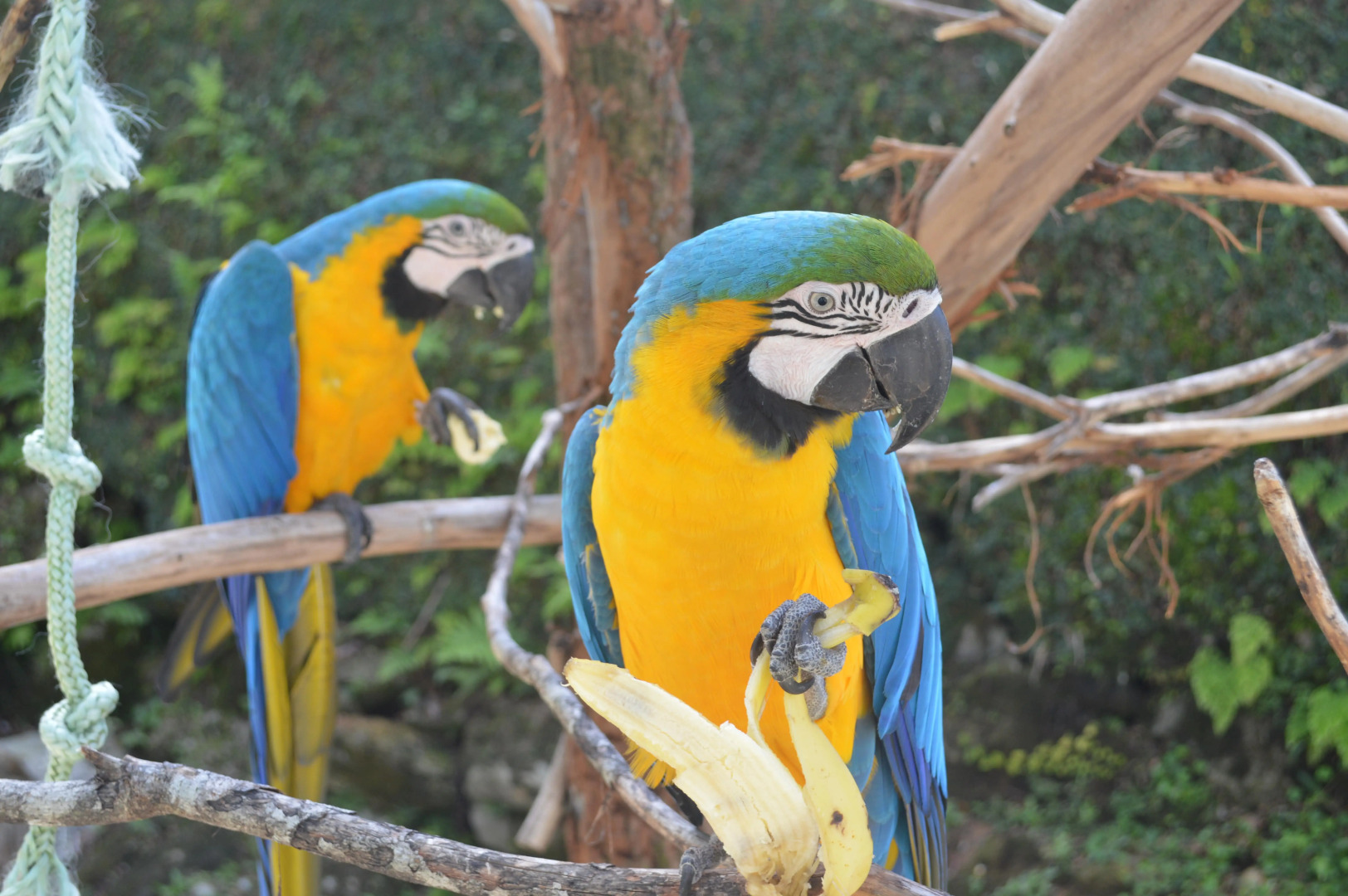 Pousada Terê Parque