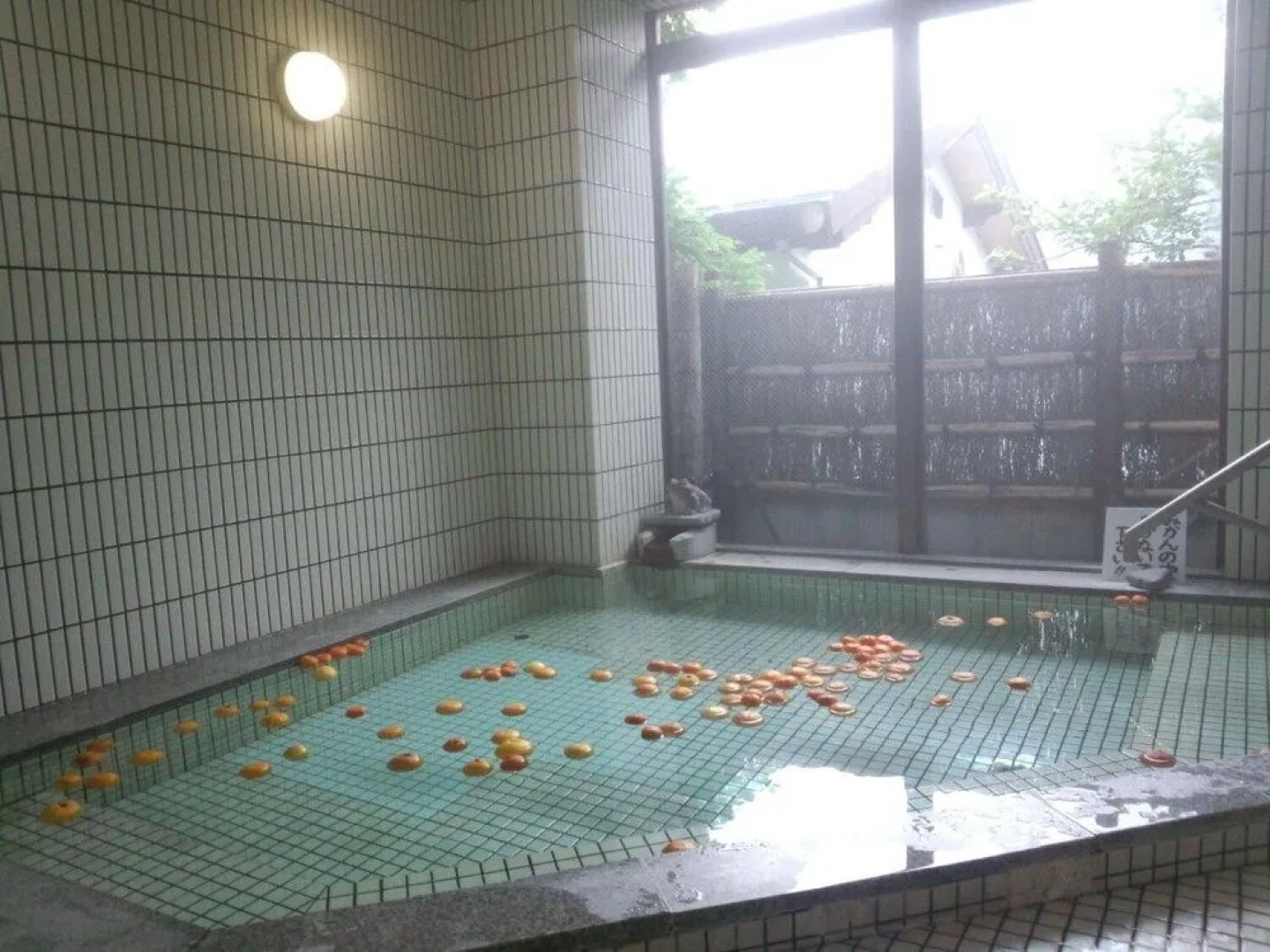 Yugawara Onsen Apolosou