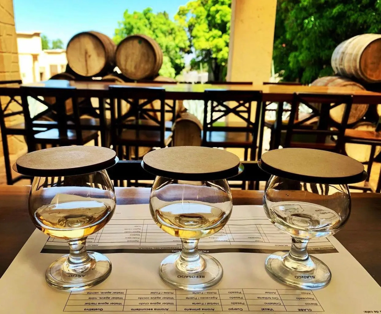 Matices Hotel de Barricas