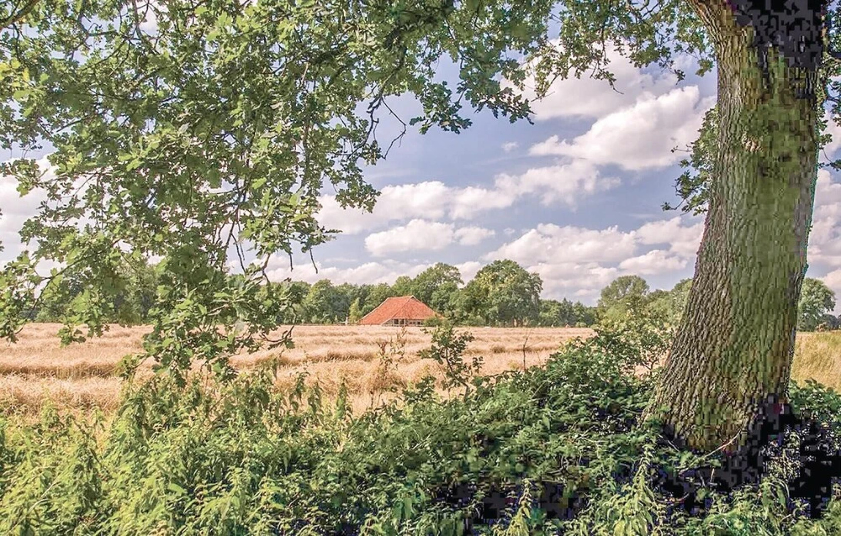 Awesome Home in Vlagtwedde With 3 Bedrooms, Wifi and Indoor Swimming Pool