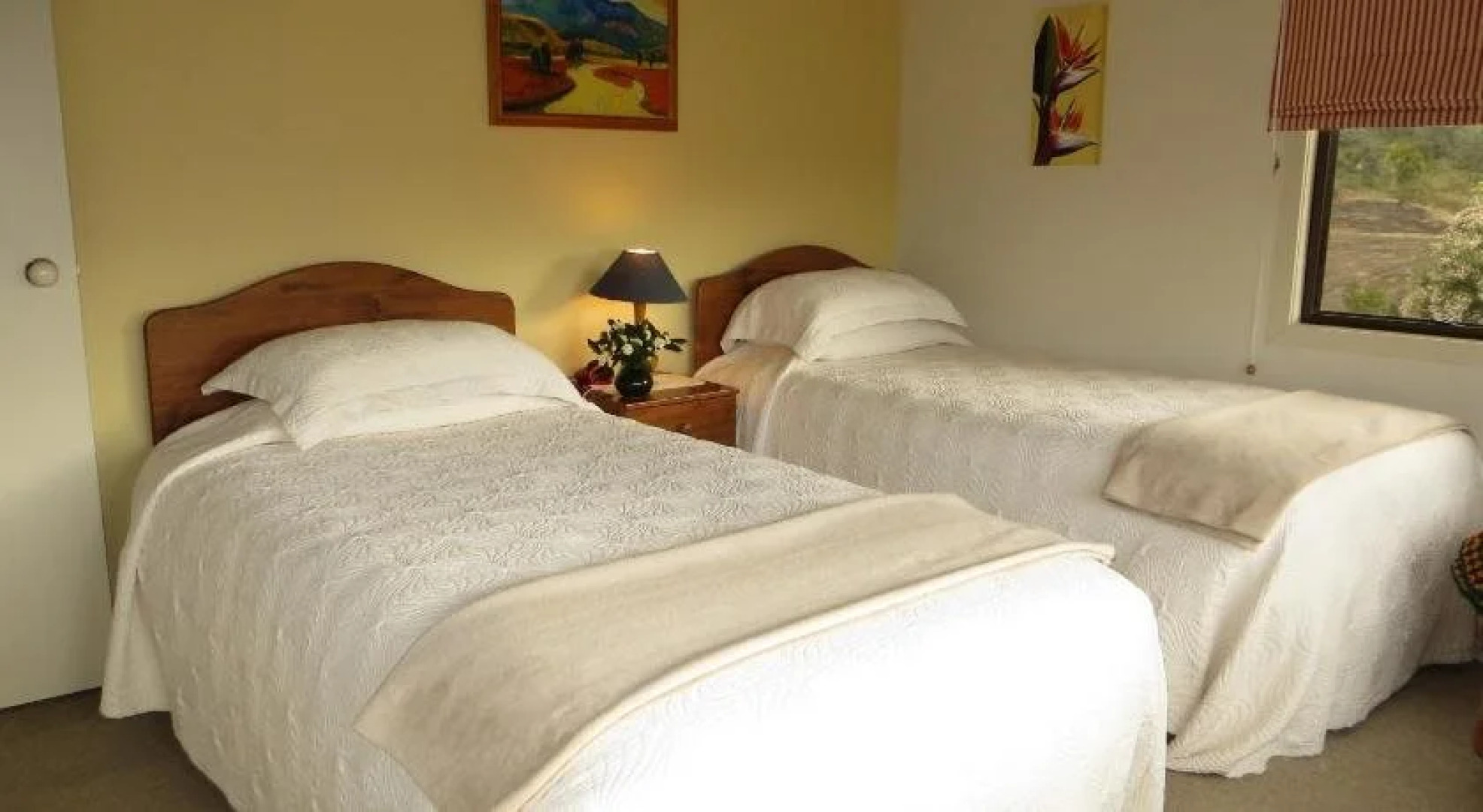 Fothergills on Mimiha