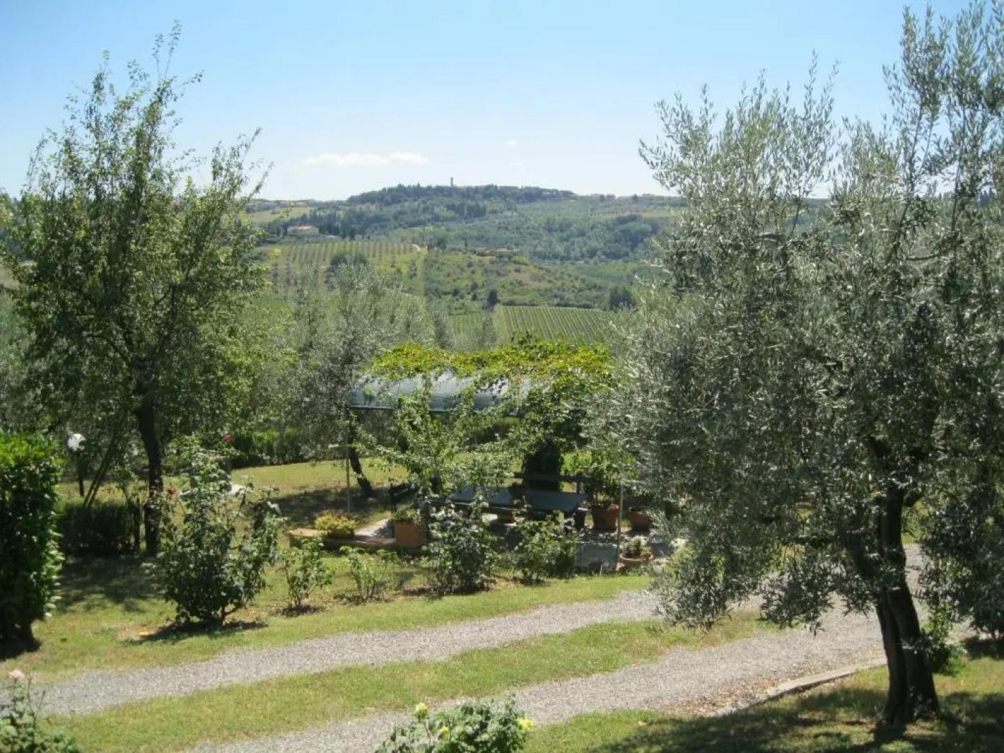 Oliveta