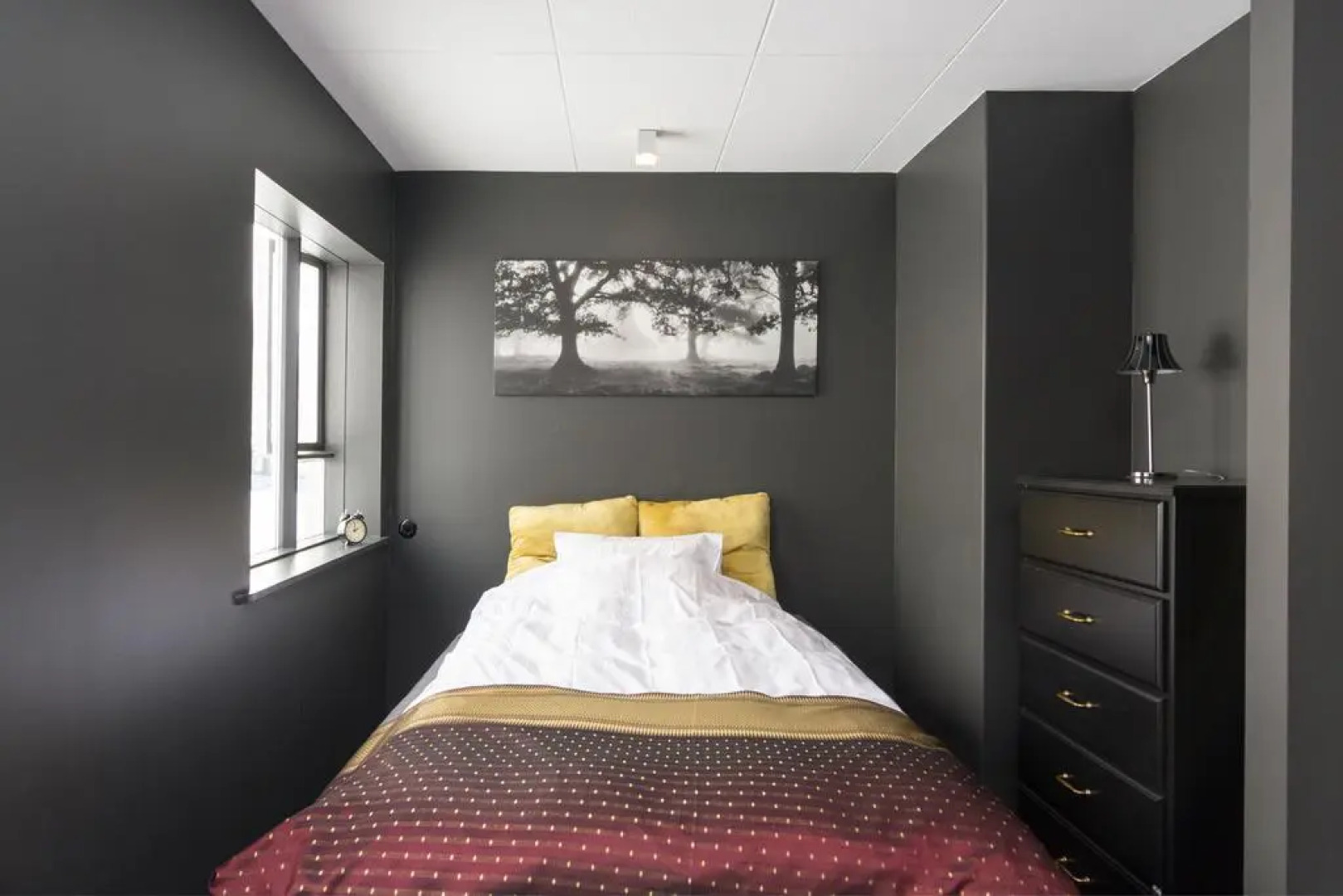 Central Luxury Apartment