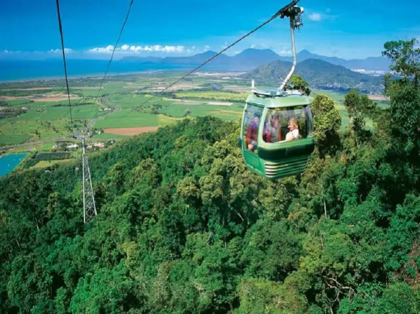 The Balinese