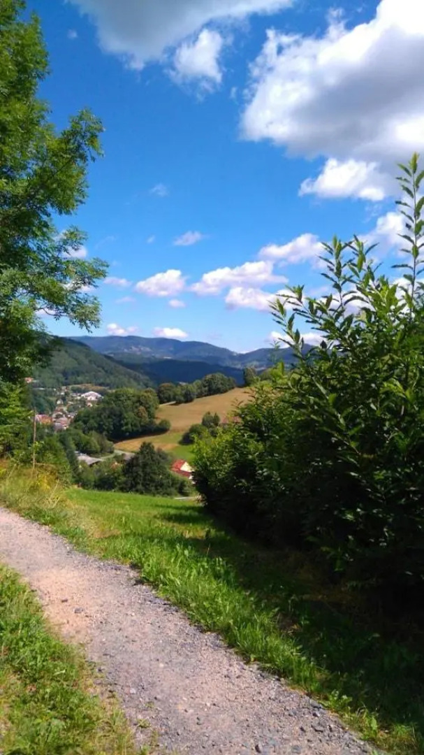 VVF Club Intense La Route des Vins d'Alsace Orbey