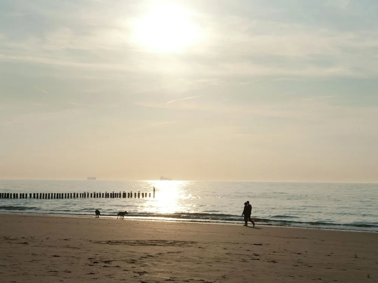 Detached Villa With Four Bathrooms Near the Sea