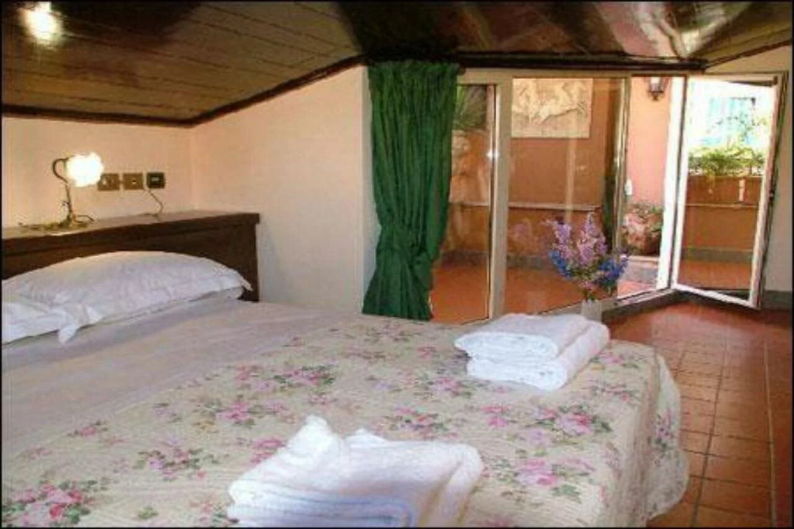 Hotel Okapi