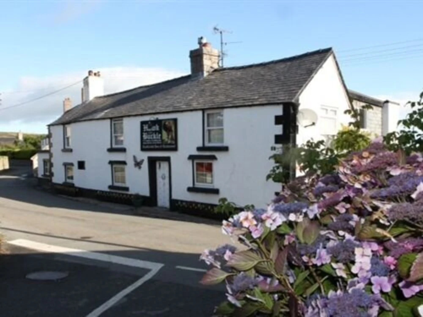 Hawk and Buckle Inn