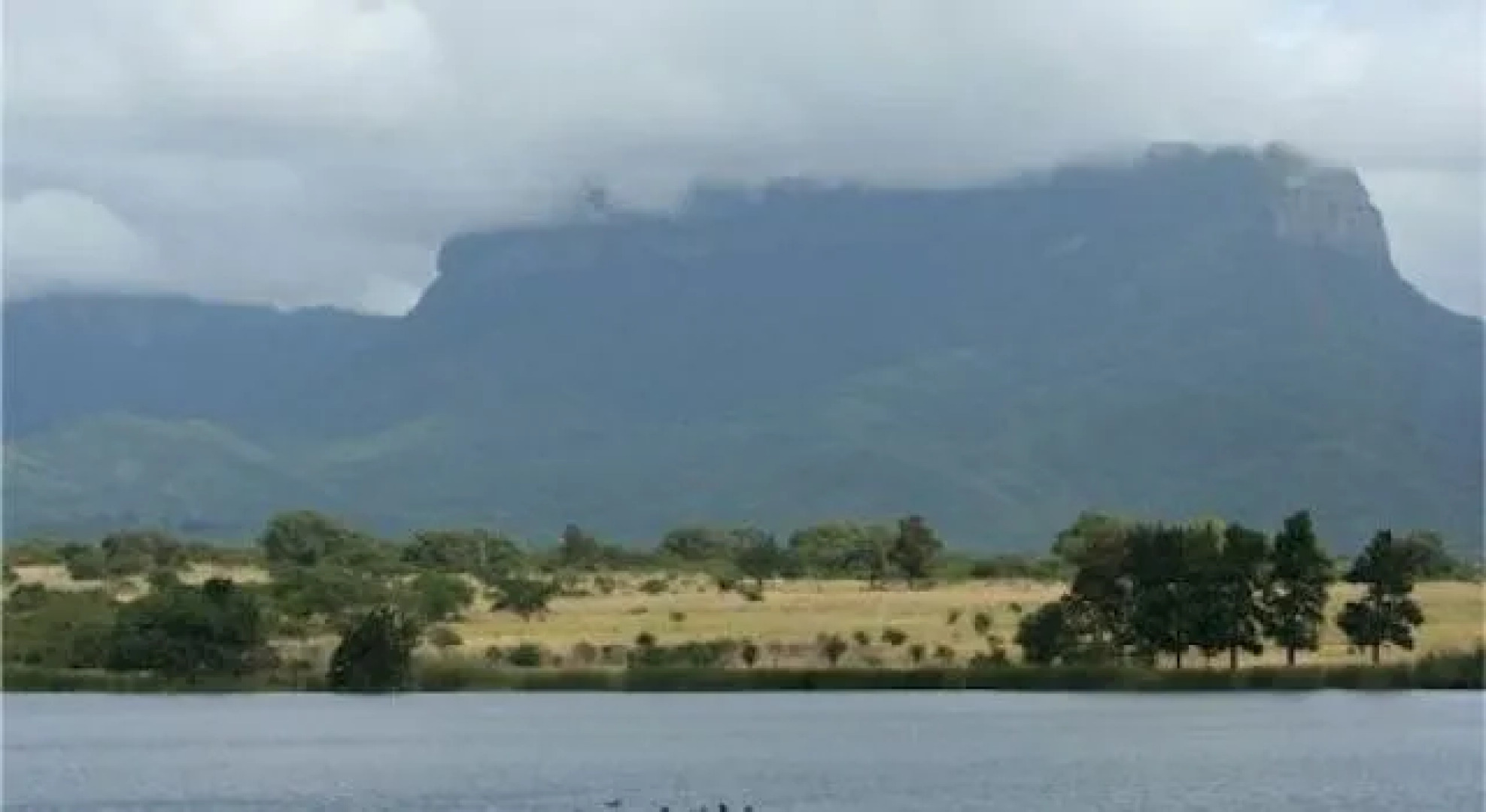 Fleur de Lys Guest Farm