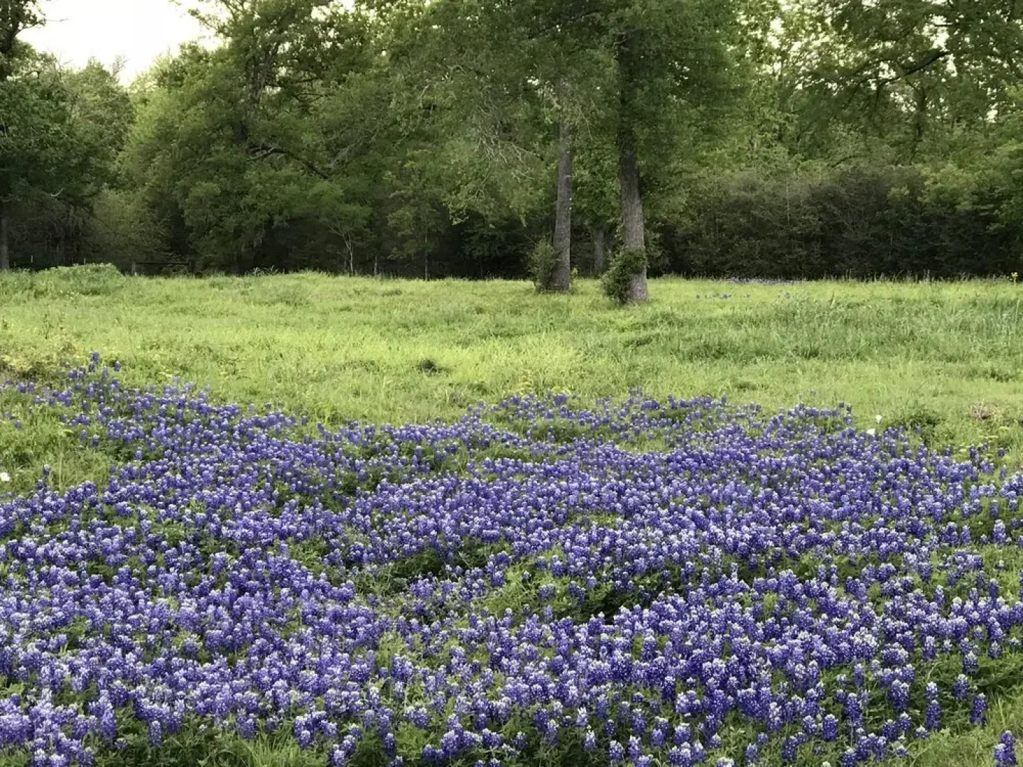 Brazos Bed and Breakfast