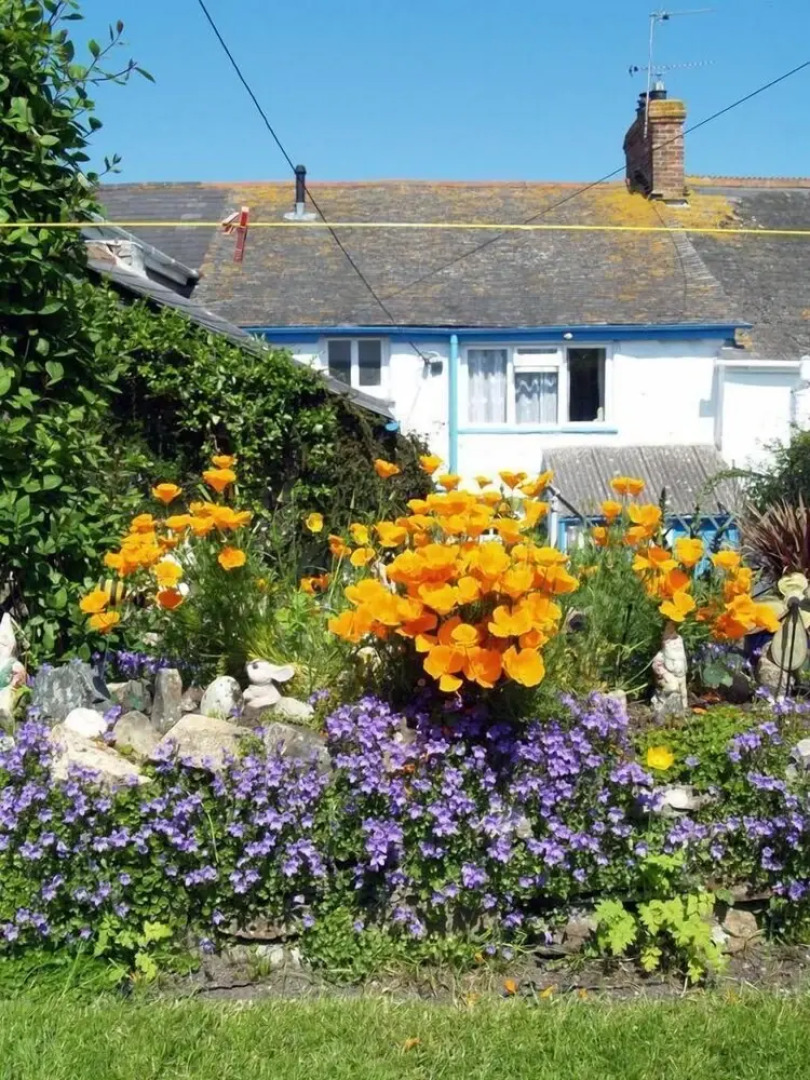 Period Living in Hayle