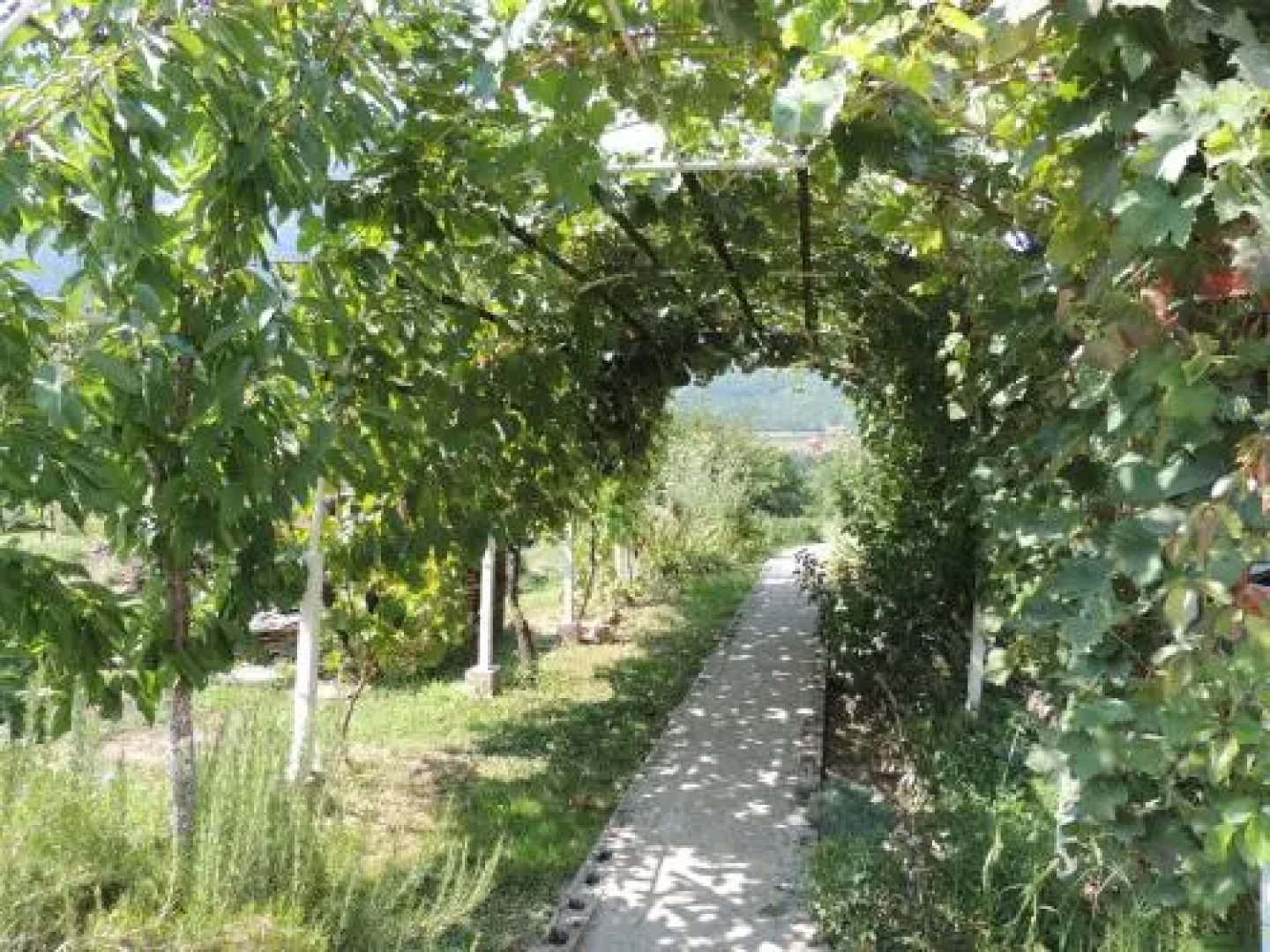 Village House Simonovic