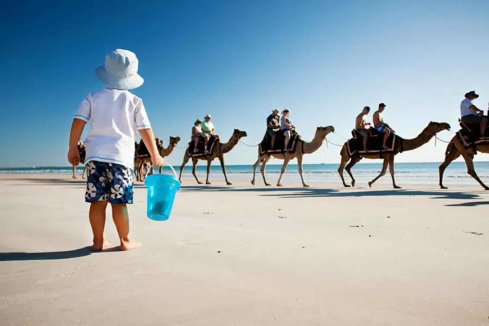 Seashells Broome