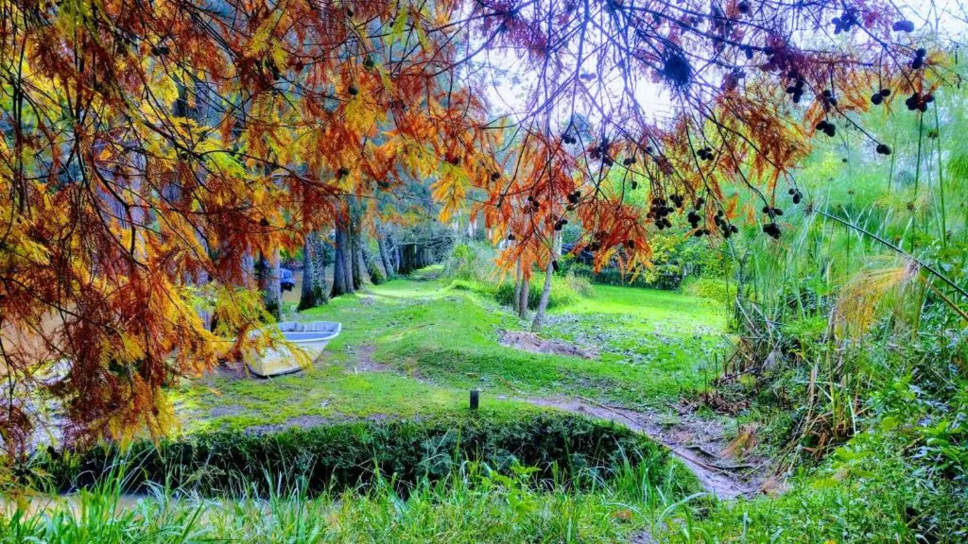 Cabaña Sol de Medianoche Delta Tigre