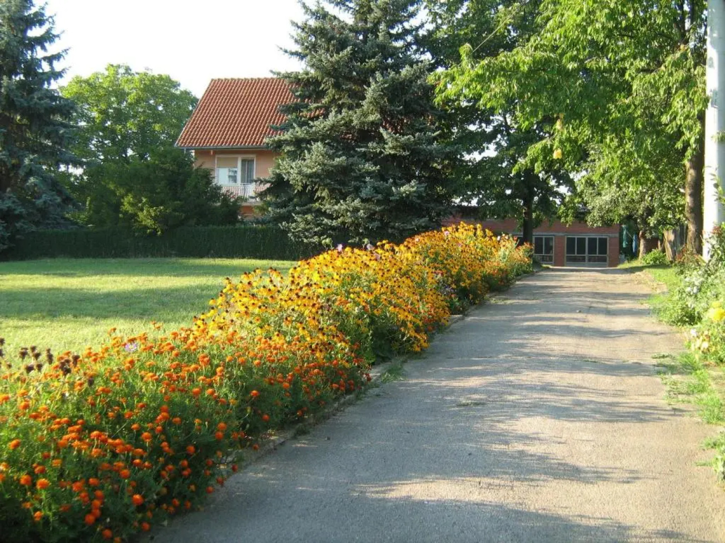 Apartments Domaćinstvo Nikolić