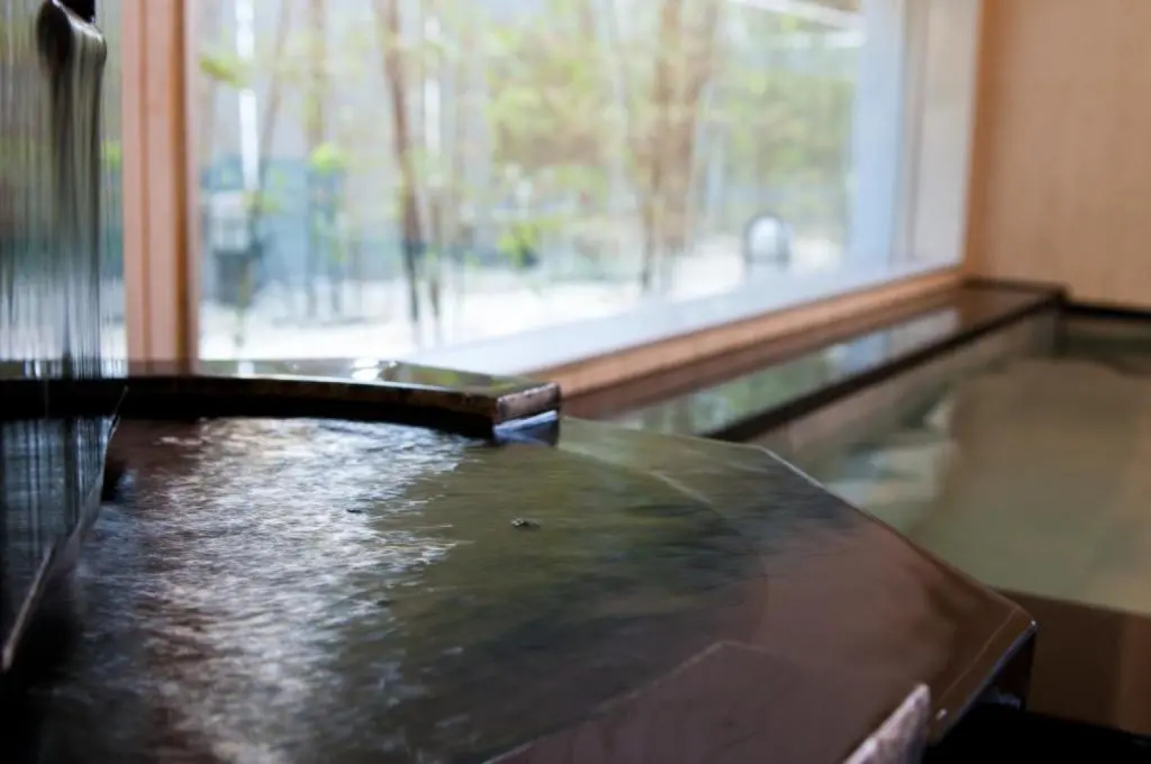 Super Hotel Gotemba - 1