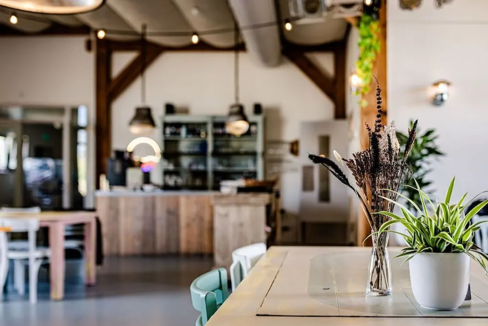 Tiny Parks Cast Away