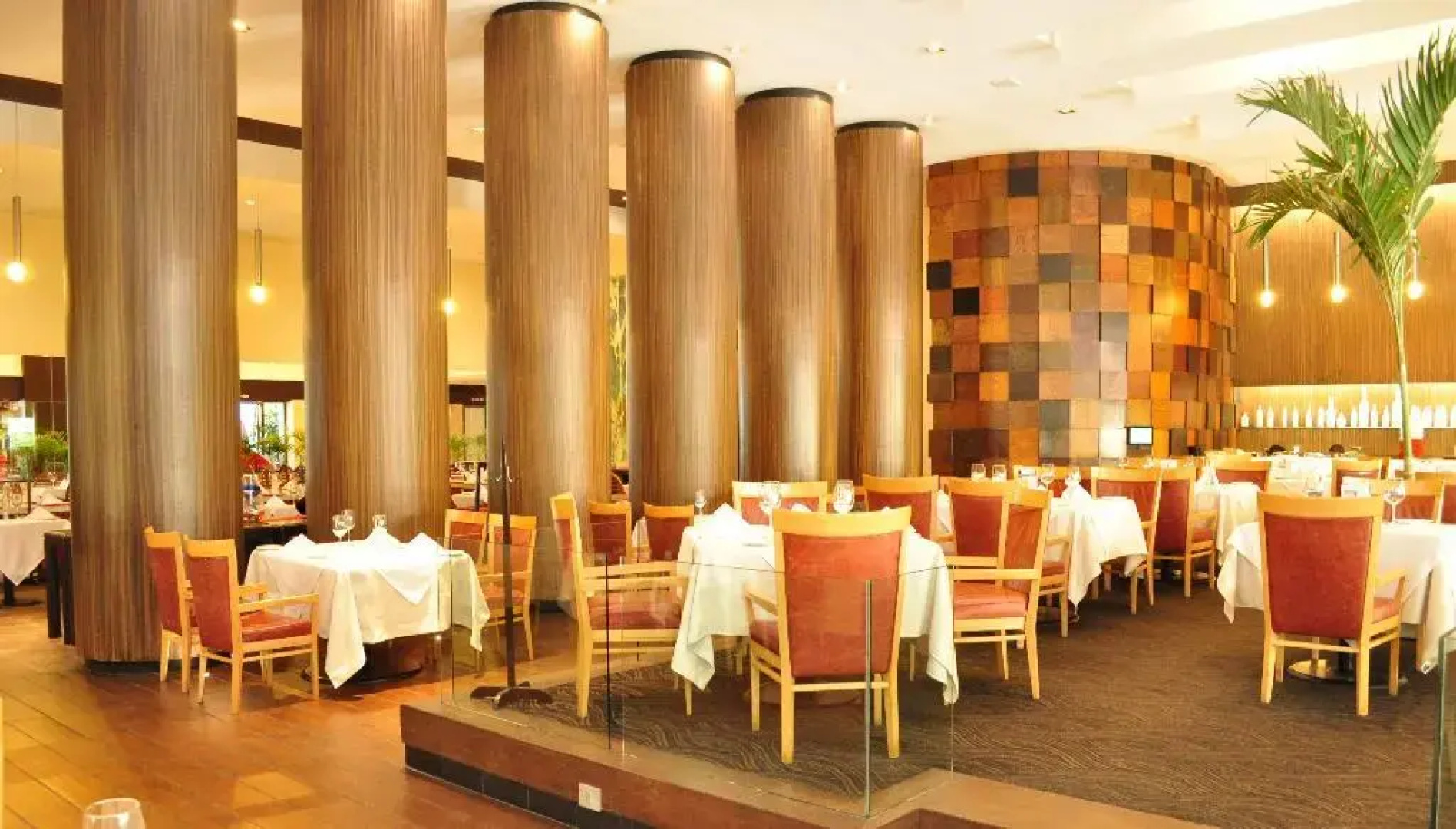 Royal Pedregal Hotel