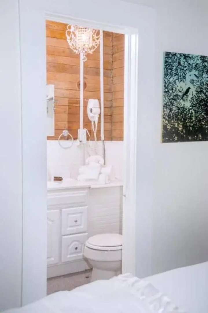 Dragonfly Cottage 1 of 5 listings downtown