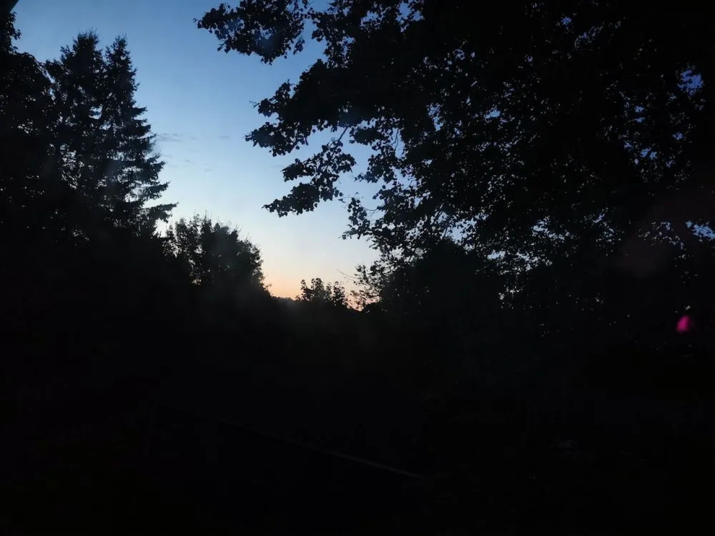 Delft Haus Bed & Breakfast