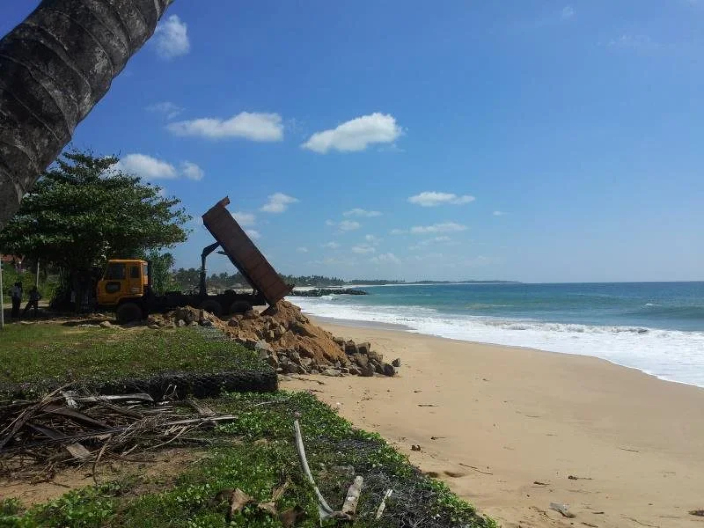 Golden Surfer Beach Hotel