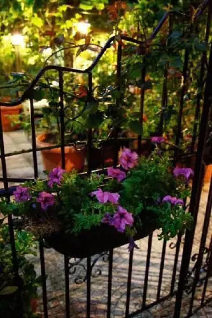 The Lost Unicorn Hotel