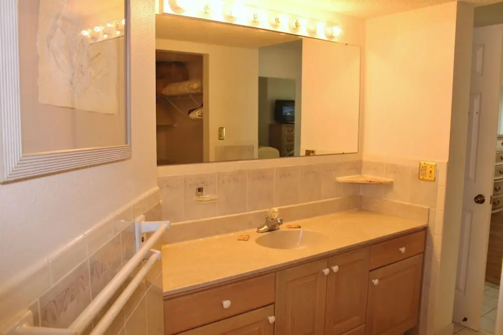 Beach Palms 405