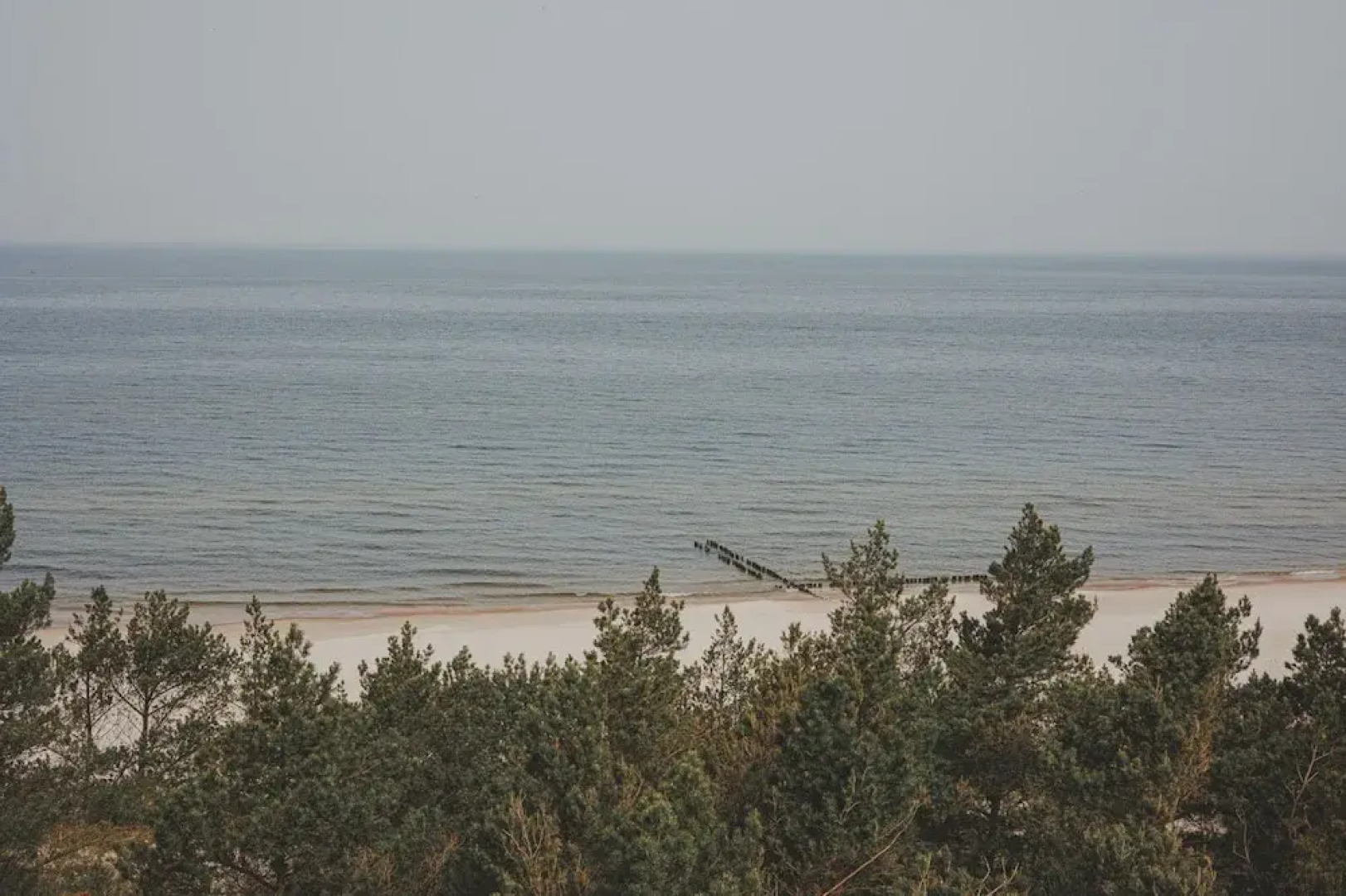 Amarillo Nadmorski Azyl Shellter Rogowo Gara