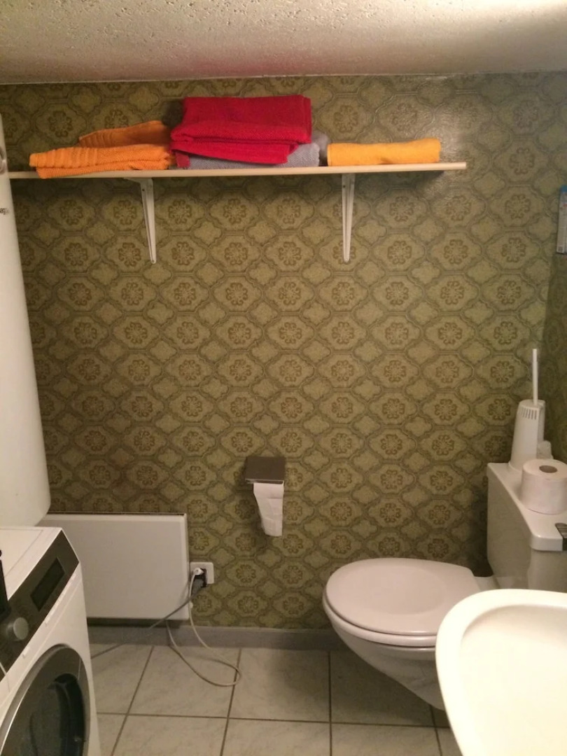 325 Year Old Swiss Chalet