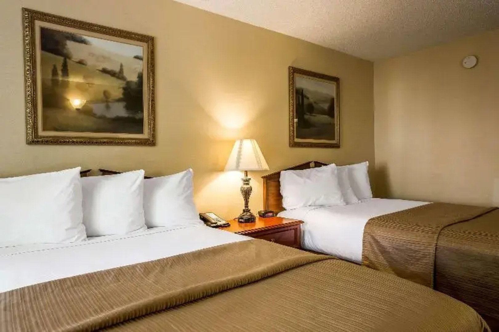 Quality Inn Johnson City Area