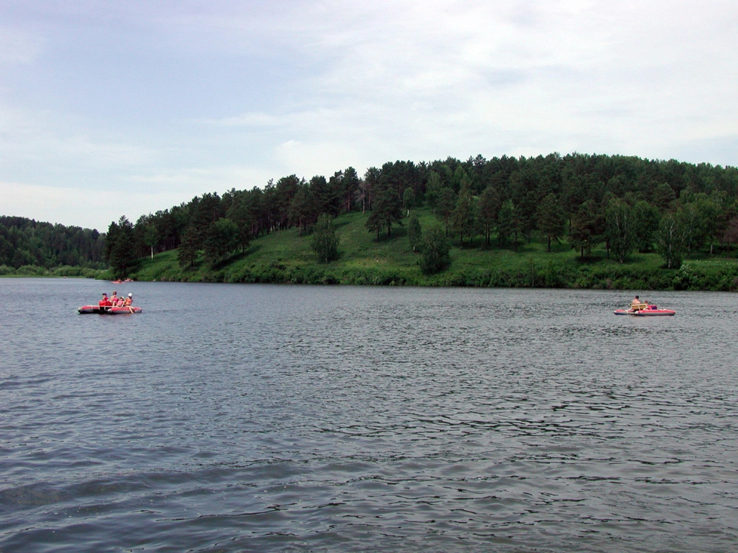 Кедровый бор