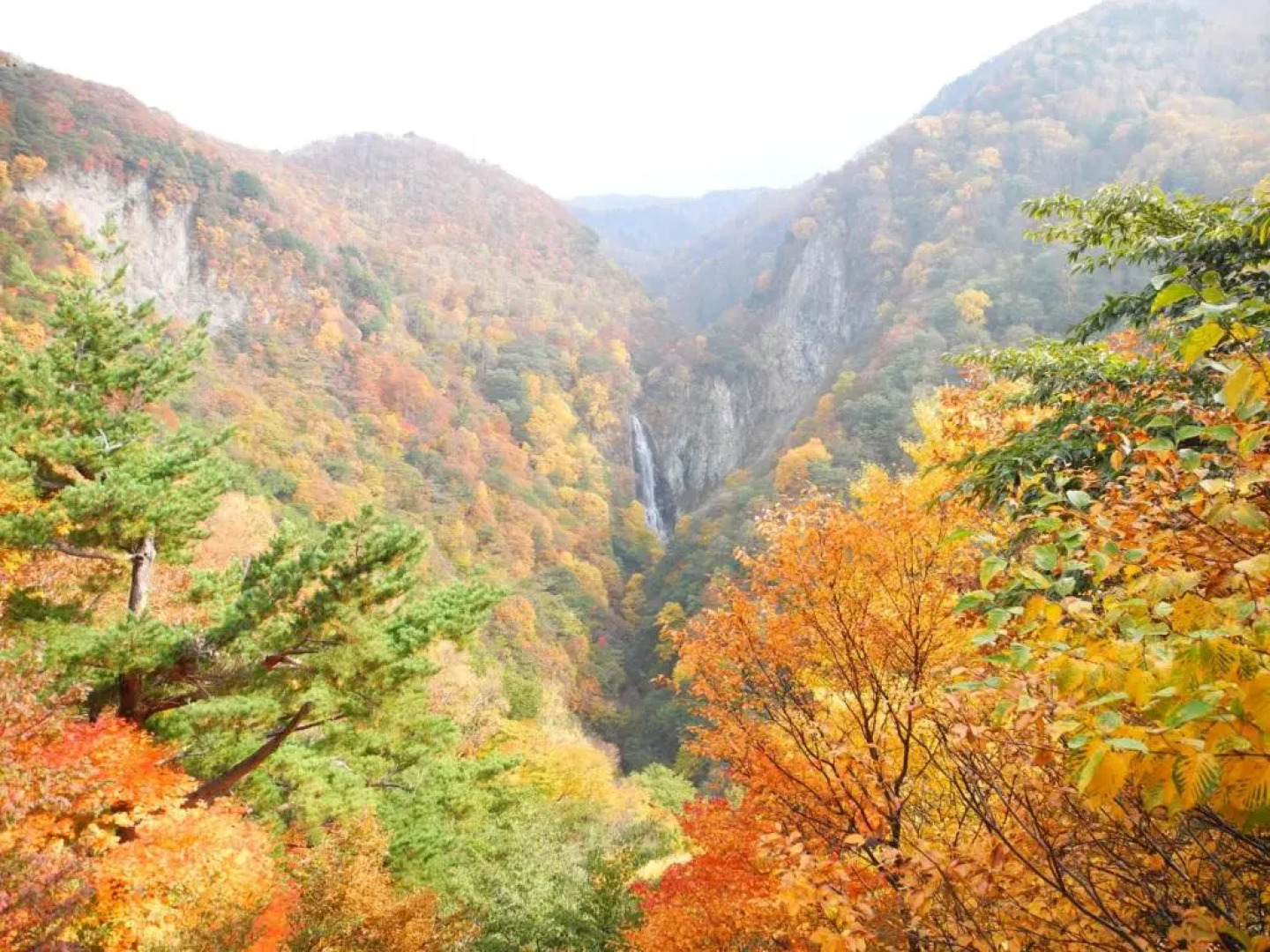 Yudanaka Onsen Yamazakiya Ryokan
