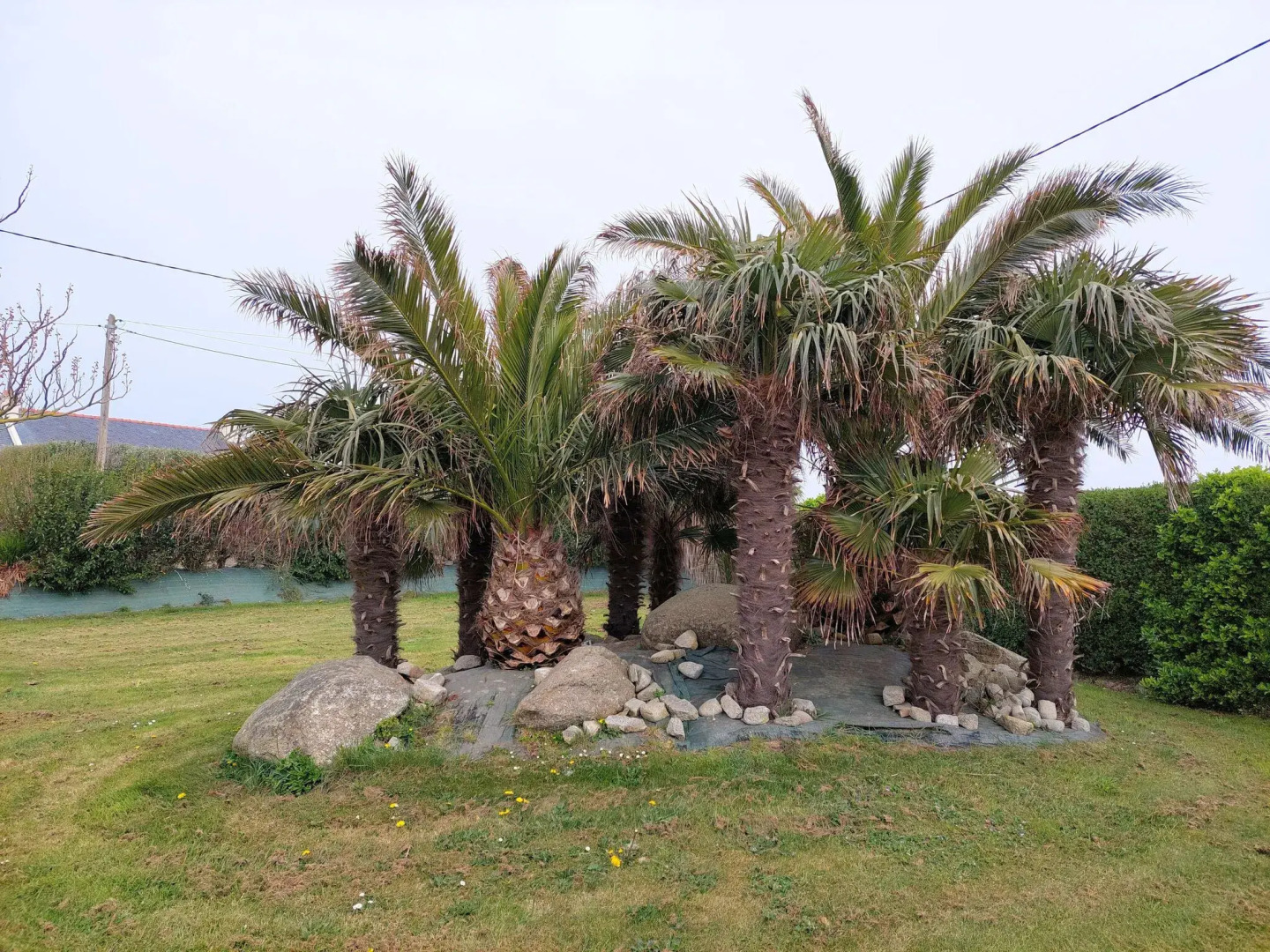 Semi-detached house with sea views, Cléder