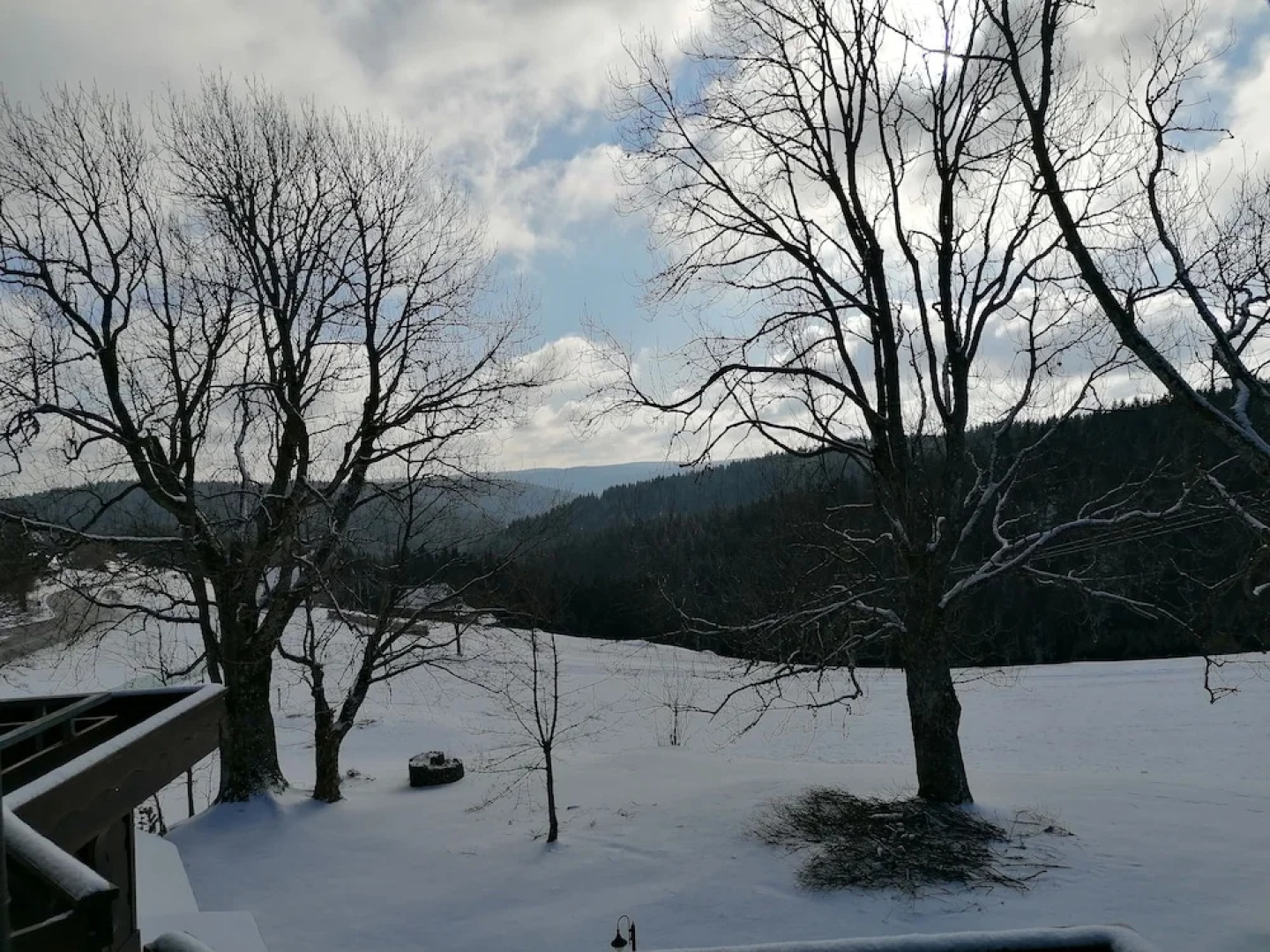 Gasthof Kreuz am Escheck