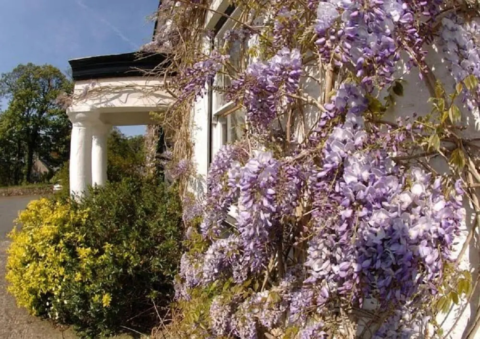Cuffern Manor
