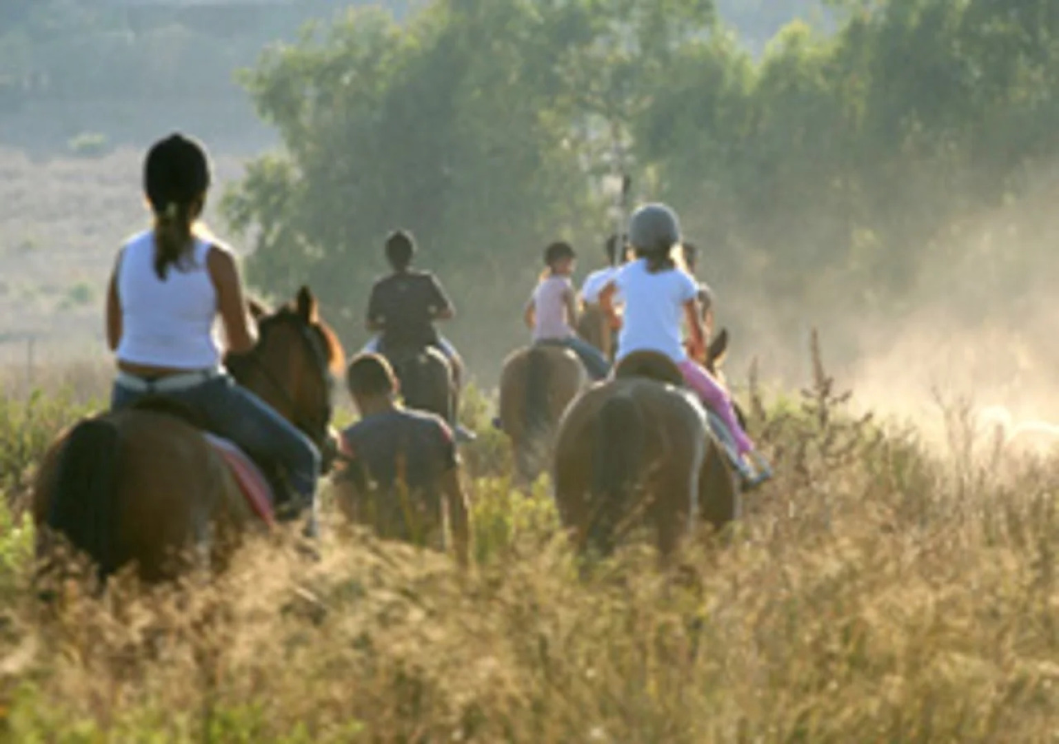 Mont Aux Sources Hotel & Resort