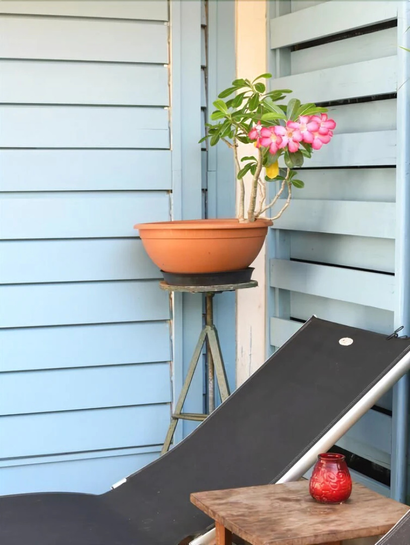 Appartement Escale Bleue