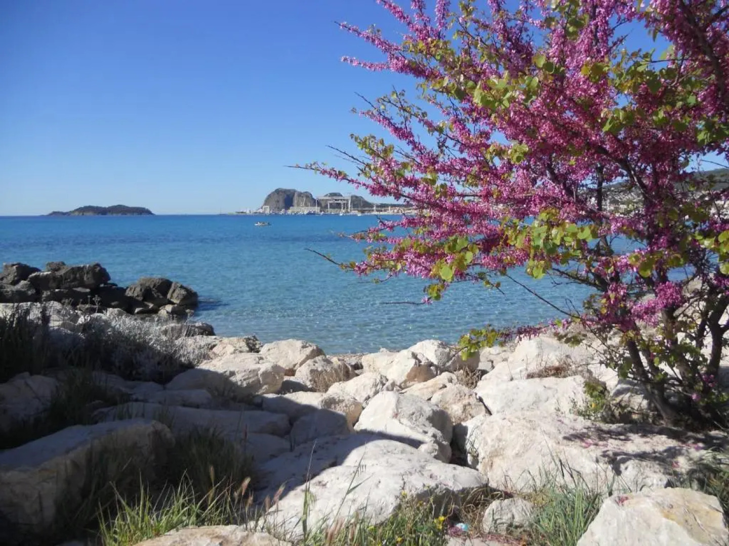 Studio Le Pénéqué des Anges