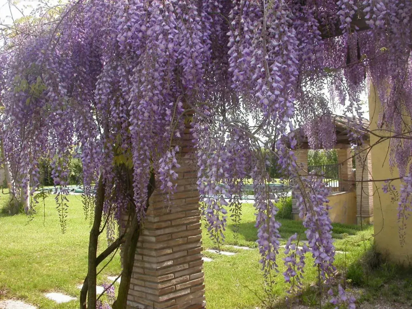 Sant Eugenia