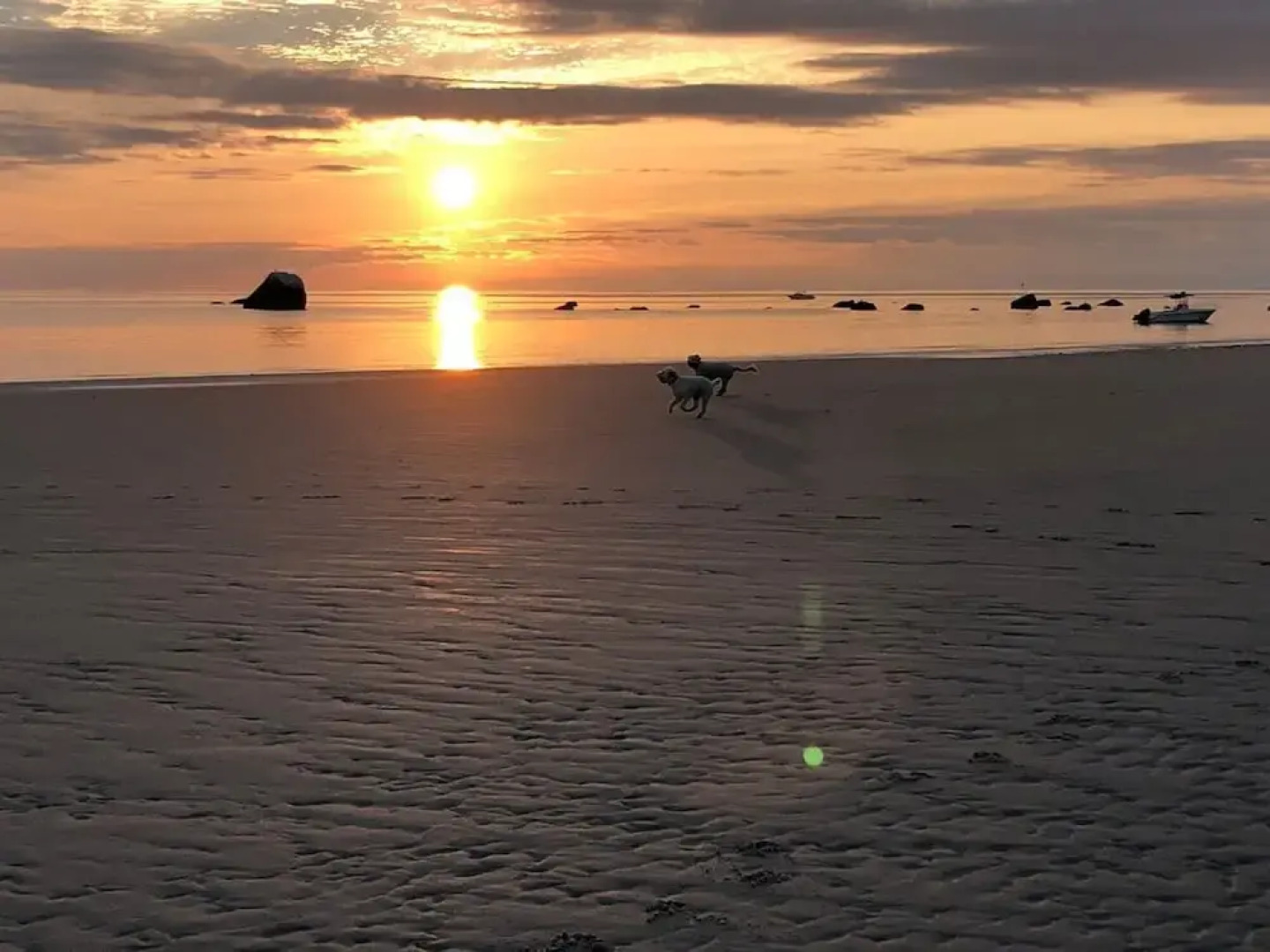 All New Beautiful Priscilla Beach House Ocean View