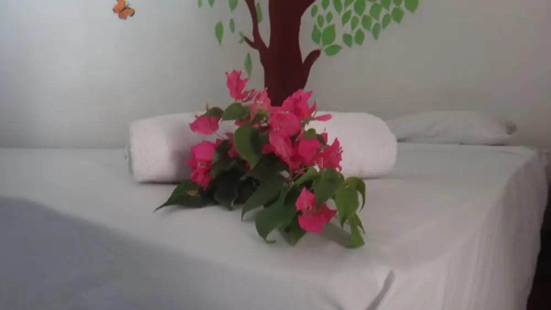 Hostel Sonati