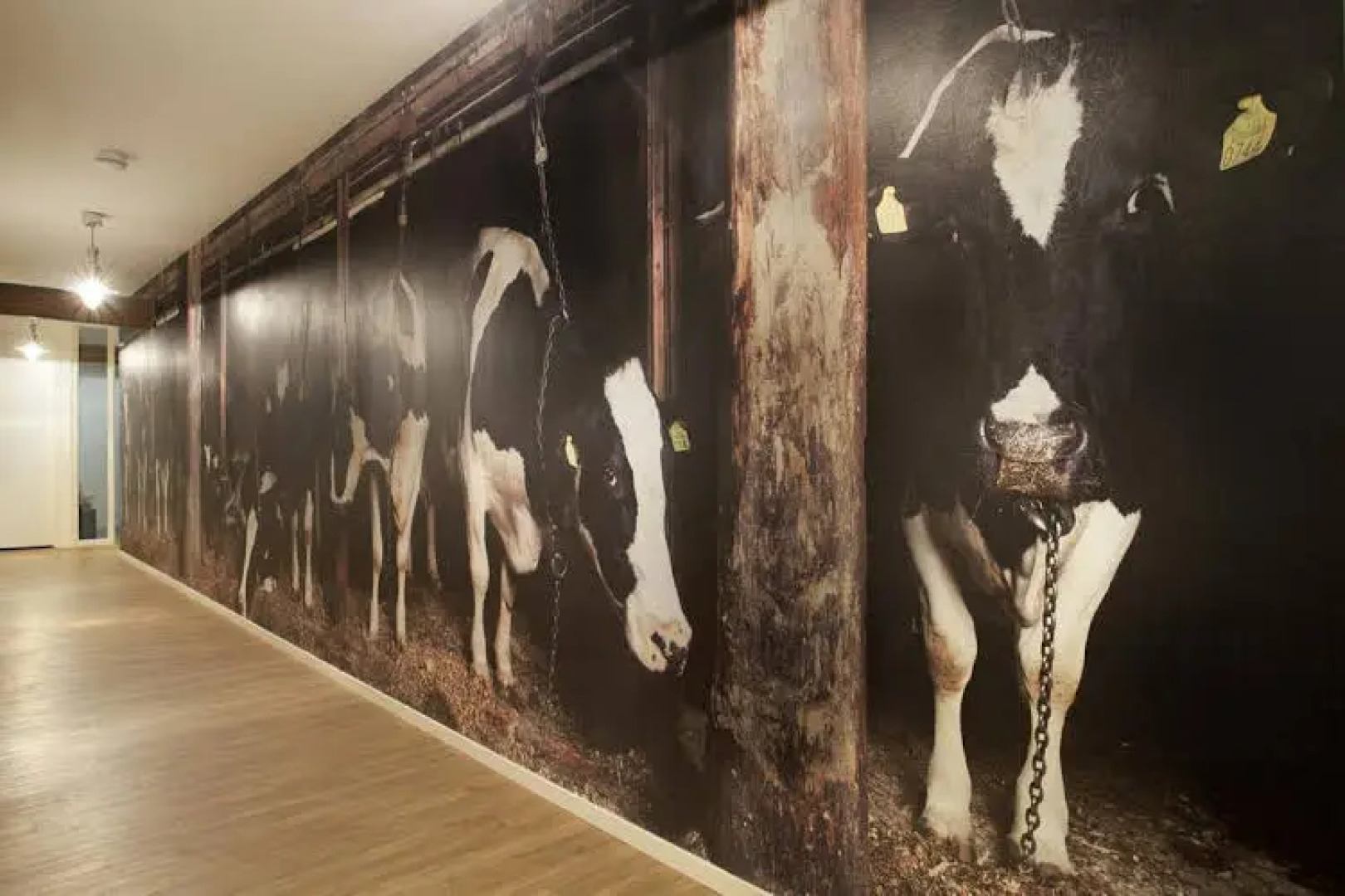 B&B Hotel Hoeve de Vredenhof