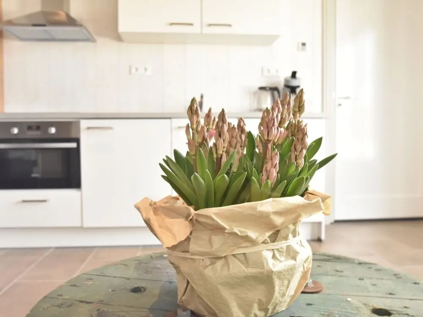 Cozy Holiday Home in Callantsoog near Groote Keeten